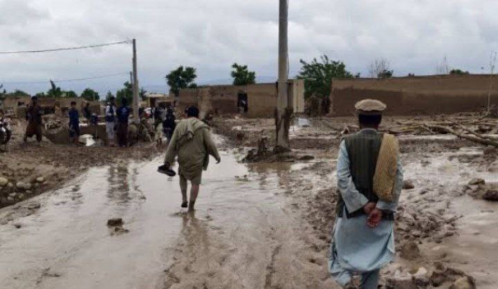 در ۲۰۲۴ بیش از ۱۶۰ هزار تن در نتیجه‌ سیلاب‌ها در افغانستان متضرر شده‌اند