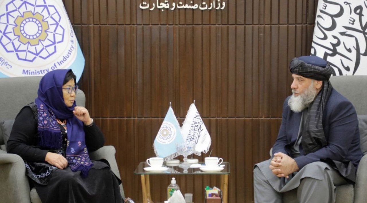 انکشاف پارک‌های صنعتی افغانستان، محور دیدار سرپرست وزارت صنعت با رئیس یوناما در کشور