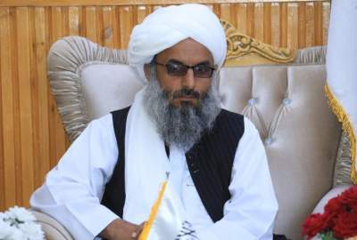 والی هرات: امارت اسلامی در راستای تحکیم وحدت میان اقوام موفق بوده است