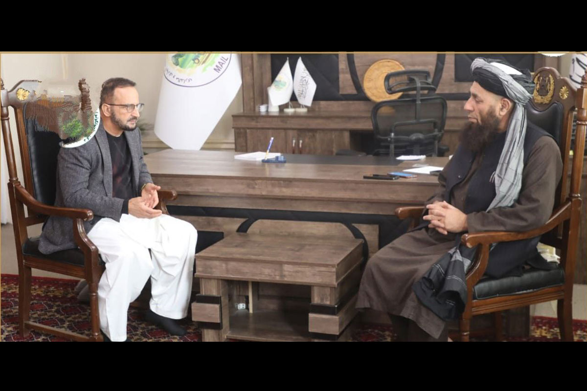 علاقه‌مندی یک نهاد مردمی به سرمایه‌گذاری گسترده در زراعت و انرژی