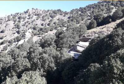 جلوگیری از قطع جنگلات در پنجشیر