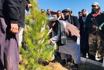 إنطلاق الحملة الوطنية لغرس الأشجار في بروان/ توزيع أكثر من مليون شتلة مجانية
