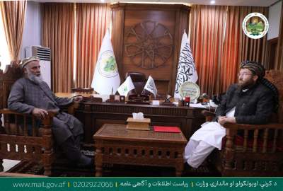 افغانستان تنطلق نحو تصدير اللحوم إلى الخارج