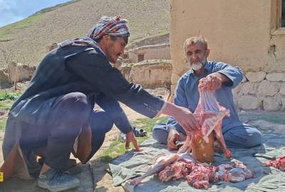 صور / مشاهد من الطبيعة البكر والجذابة لقرية شاه‌مرد في مديرية غوسفندي بمحافظةسربل  <img src="https://cdn.avapress.net/images/video_icon.png" width="16" height="16" border="0" align="top">