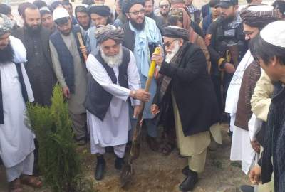 Head of Environment Department visits Bamyan and launches sapling planting campaign