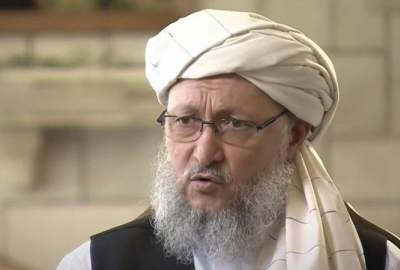 عبدالسلام حنفی: امارت اسلامی خدماتی را برای عودت کنندگان فراهم می‌کند