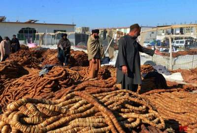 تصدير 33 ألف طن من التين بقيمة 165 مليون دولار إلى الخارج