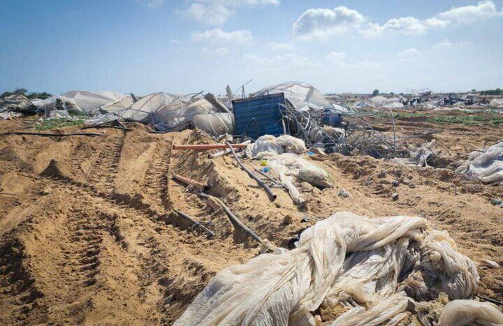نابودی عمدی اراضی کشاورزی در غزه؛ بیش از ۷۵٪ زمین‌ها به «زمین سوخته» تبدیل شده‌اند