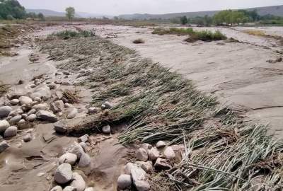 بارندگی شدید و جاری شدن سیلاب در ننگرهار؛ خسارات سنگین به مزارع و زیرساخت‌های آبی