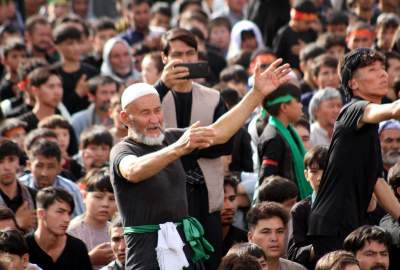 بزرگداشت عاشورای حسینی در ولایت هرات؛ همدلی و همبستگی ملی در سایه مکتب حسینی