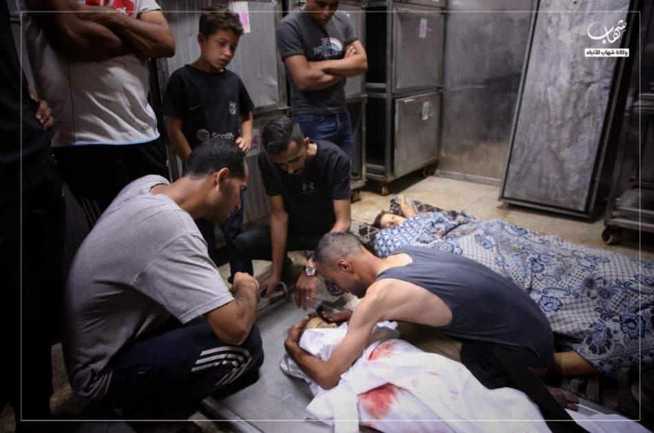 Gaza death toll rises to more than 57,500