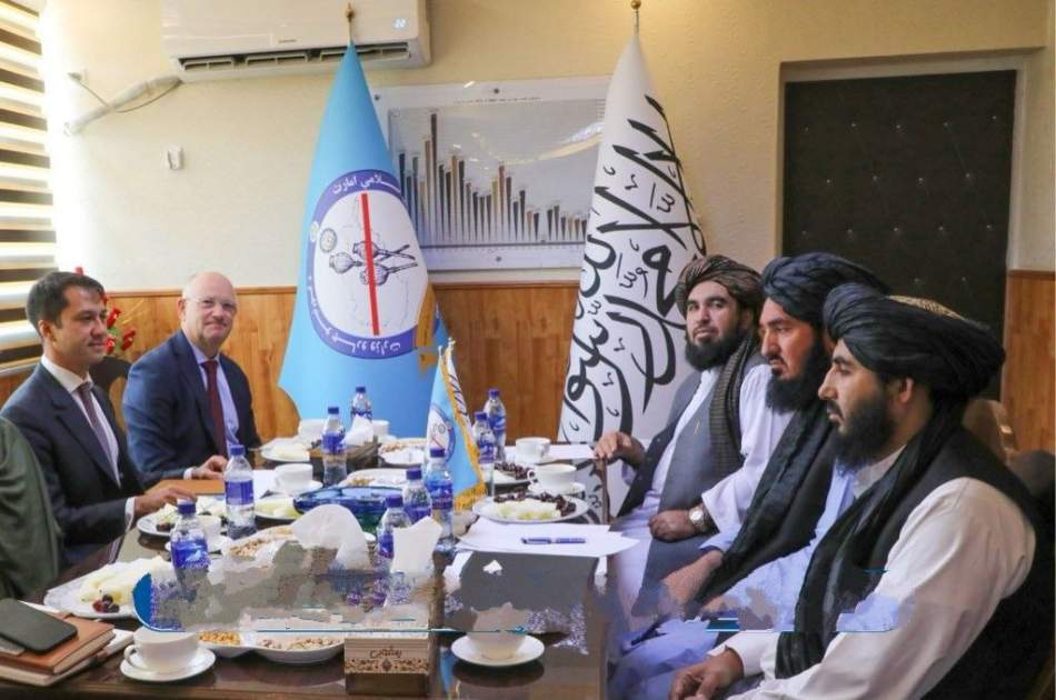 UN announces readiness to fight drug cultivation in Afghanistan