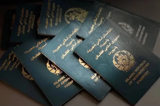 کاهش هزینه پاسپورت در تهران؛ مهاجرین مشهد همچنان در انتظار
