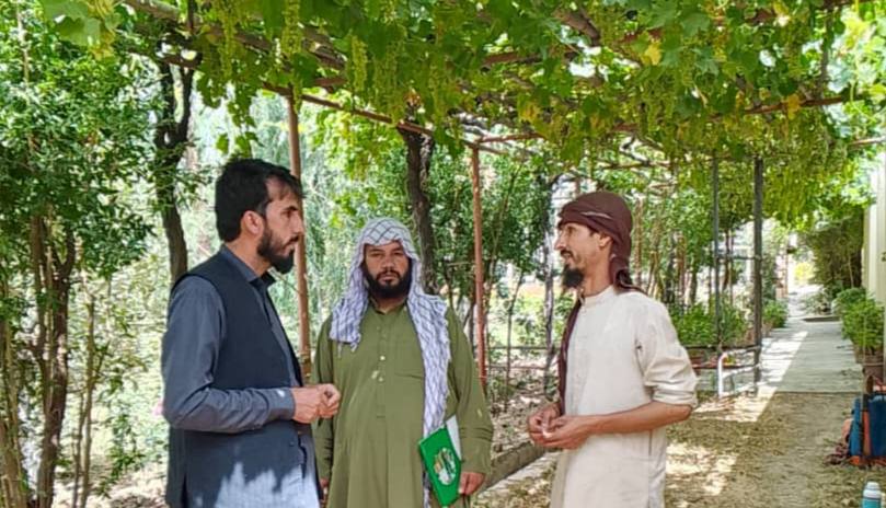 آموزش تخصصی دهقانان و باغداران پروان برای وقایه آفات نباتی آغاز شد