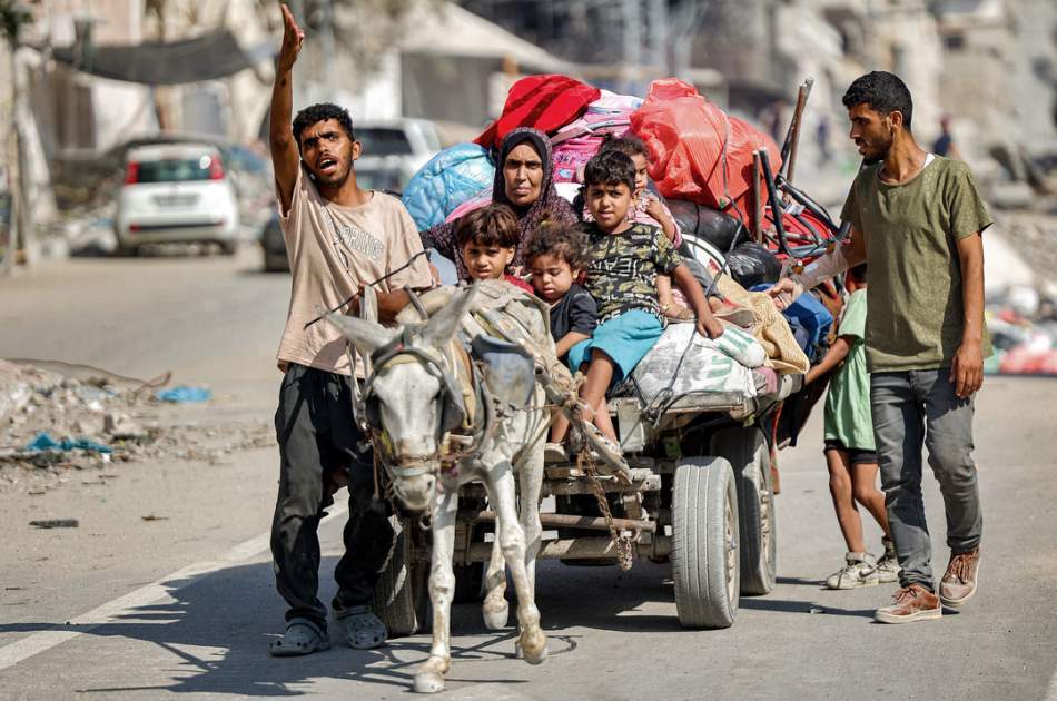 Donkey theft by the Israeli army in Gaza; theft in wartime conditions