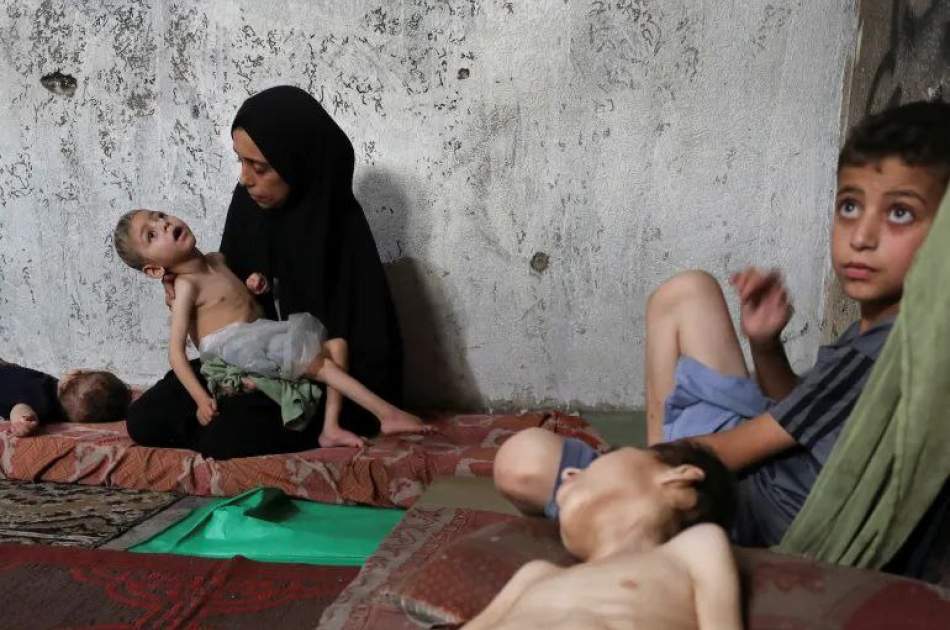 ارتفاع عدد الضحايا بسبب الجوع في غزة إلى 115 شخصًا