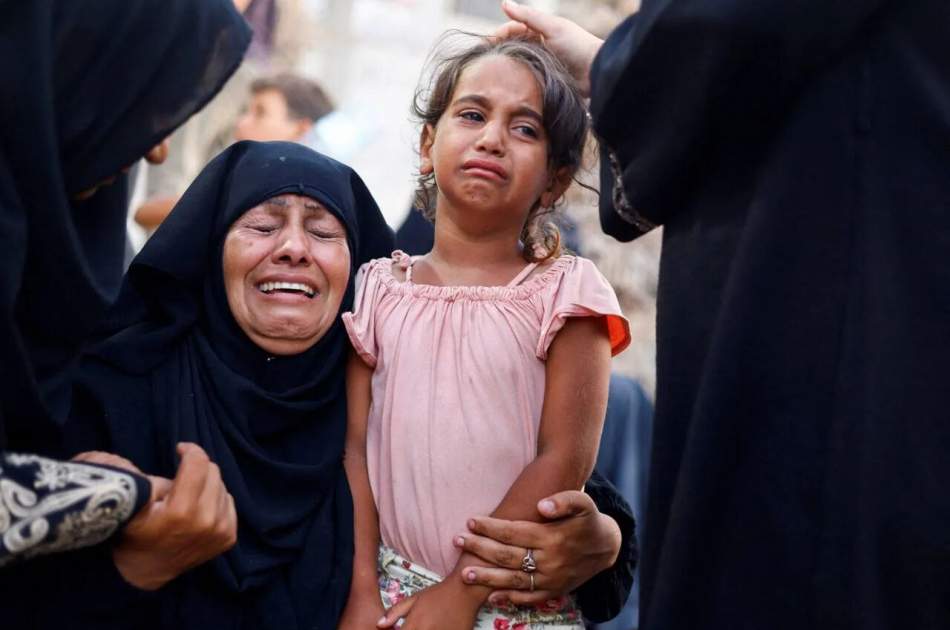Red Cross: All humanitarian principles have been violated in Gaza