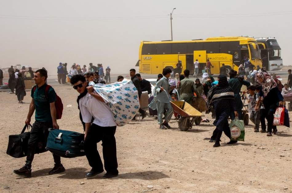 عودة غير مسبوقة؛ أكثر من 946 ألف مهاجر عادوا إلى البلاد في شهر واحد فقط