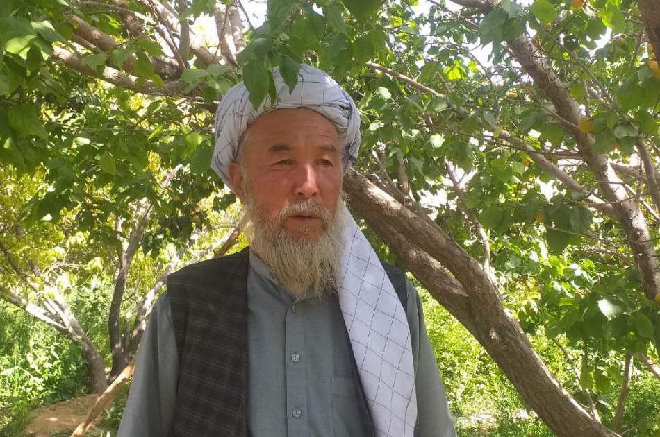 د بامیان باغ لرونکي د میوو د ساتلو لپاره د سړو خونو نشتوالي اندیښمن کړي دي