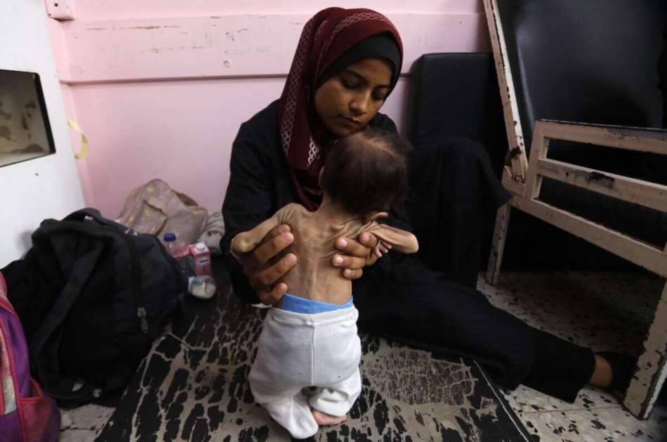 Special Report/ Endless Crime in Gaza; Children Surrounded by Death, Fake Projects on the Sidelines, Screams Stifled in the Embryo