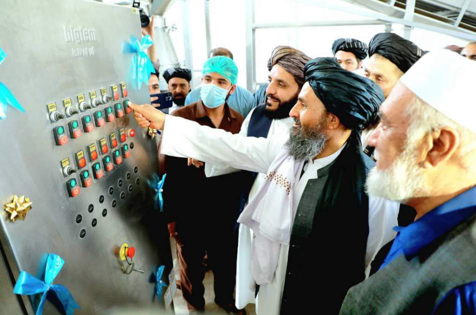 افتتاح یک کارخانه پروسس کشمش با سرمایه‌گذاری ۸ میلیون دالر در کابل