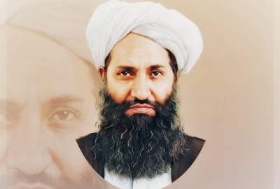 دیدار رهبر امارت اسلامی با مسئولین شورای علمای هرات؛ تأکید بر حاکمیت شریعت و اتحاد علما