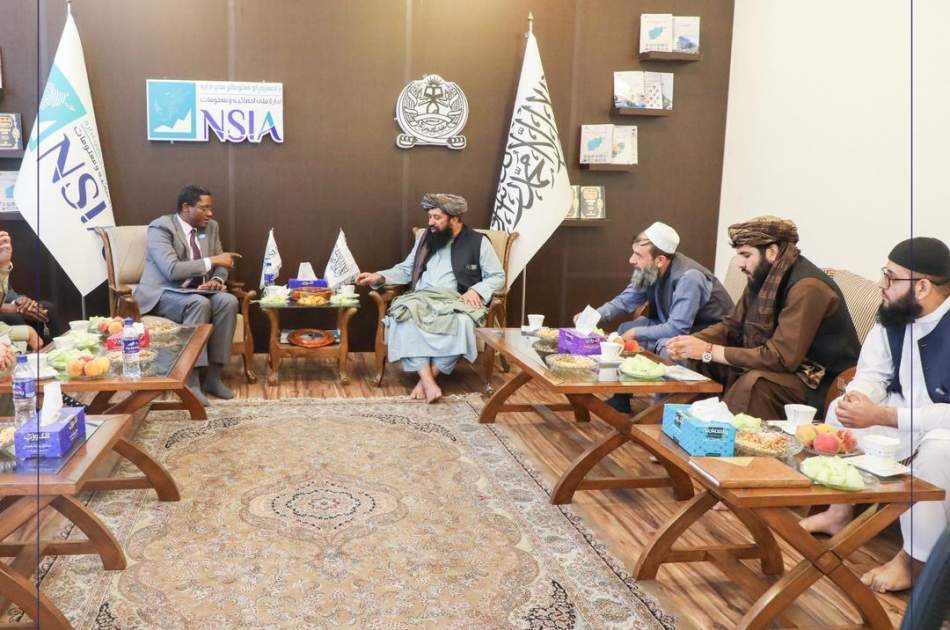 Implementation of income and consumption survey in the country, the focus of the meeting of the head of the Statistics and Information Department with the UNICEF official