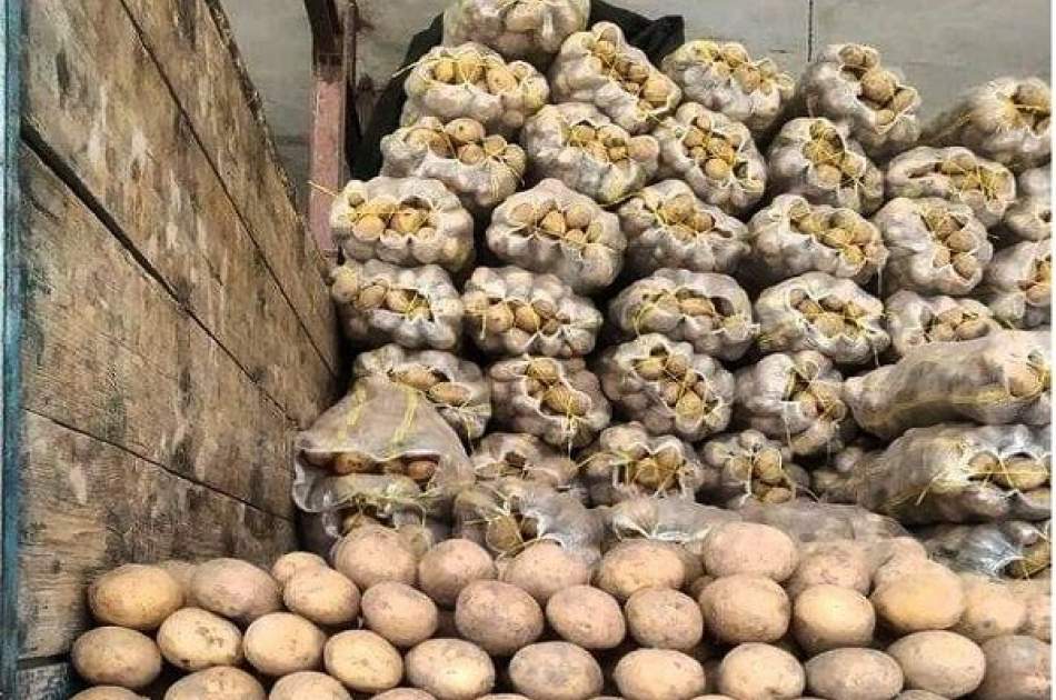 سازمان ملل ۲۴۰ سردخانه برای حاصلات کچالو در کشور می‌سازد
