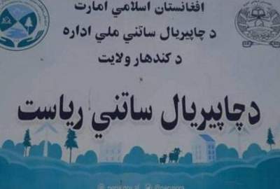 بازداشت ۹ تن به اتهام شکار غیرقانونی حیوانات در قندهار