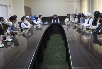 بزرگان پکتیکا خواستار توجه وزارت زراعت به توسعه فعالیت‌های زراعتی و مالداری شدند