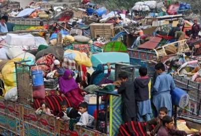 ورود بیش از ۵ هزار مهاجر از ایران و پاکستان به کشور طی یک روز اخیر