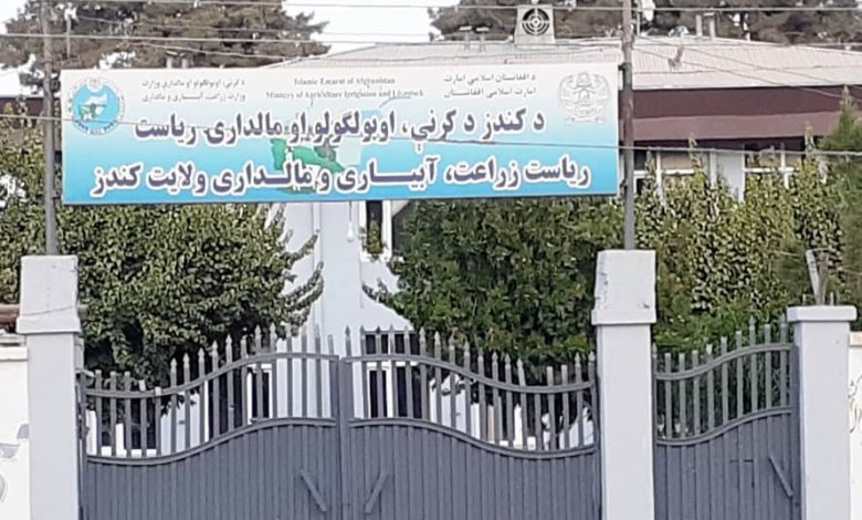 قندوز در تولید گندم، شالی و سبزیجات به خودکفایی رسید؛ محصولات به سایر ولایات صادر می‌شود