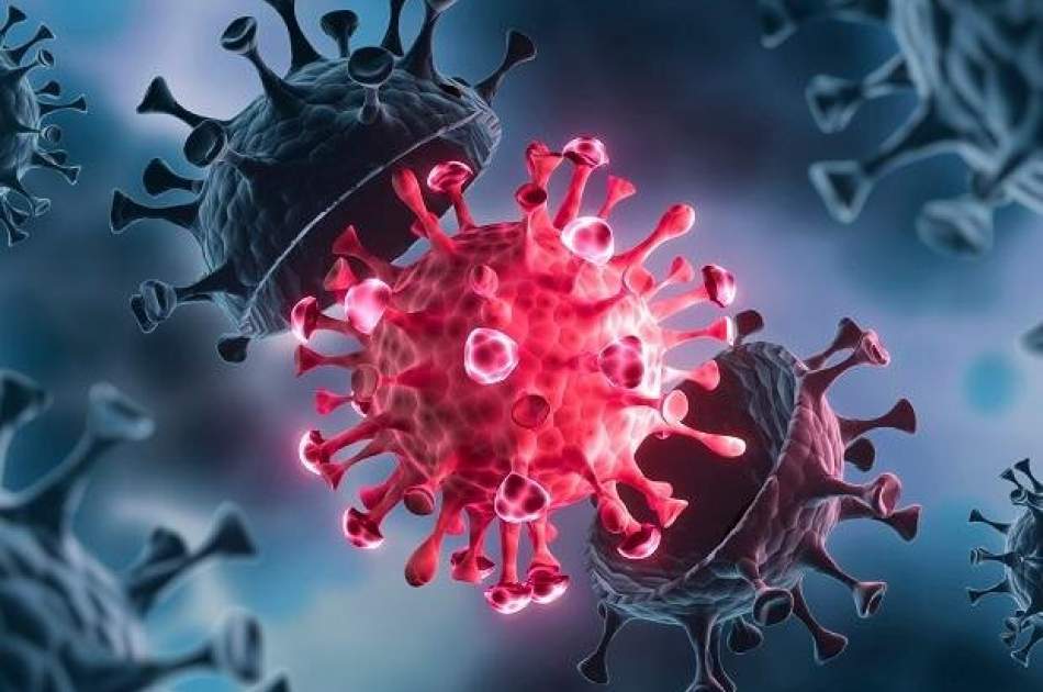 Warning about the spread of three dangerous viruses in Iran
