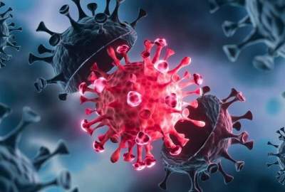 Warning about the spread of three dangerous viruses in Iran