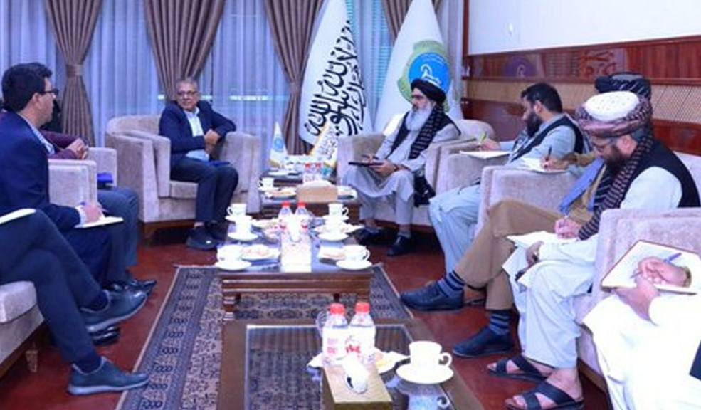 تطبیق مؤثر کمپاین واکسین پولیو؛ محور دیدار وزیر صحت با مقام سازمان صحی جهان