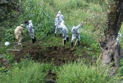 دفن لاشه ۳۵۸ حیوان تلف‌شده در زلزله کنر برای جلوگیری از شیوع امراض