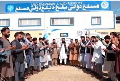 أول تصدير للحوم من أفغانستان؛ المسلخ الحكومي في بلخ يمهّد الطريق لمسار اقتصادي جديد