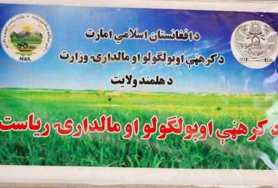 آغاز ساخت سردخانه معیاری برای نگهداری محصولات باغداران در هلمند