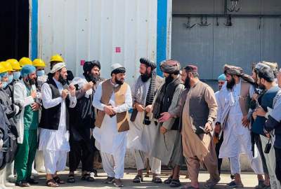 روند صادرات گوشت برای نخستین بار از مسلخ هرات آغاز شد