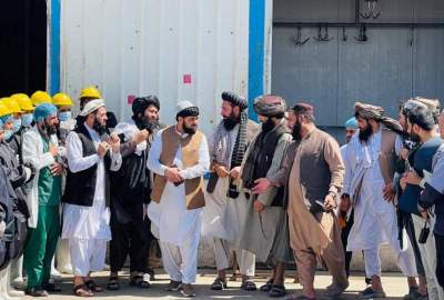 بدء عملية تصدير اللحوم لأول مرة من مسلخ هرات