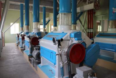 کارخانه‌ای در هرات با ظرفیت تولید روزانه ۲۰۰ تُن آرد آغاز به کار کرد