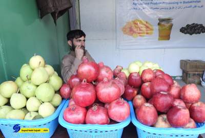 بالصور/المعرض الثالث والثلاثون للمنتجات الزراعية والحيوانية في بادام باغ، كابول  <img src="https://cdn.avapress.net/images/picture_icon.png" width="16" height="16" border="0" align="top">
