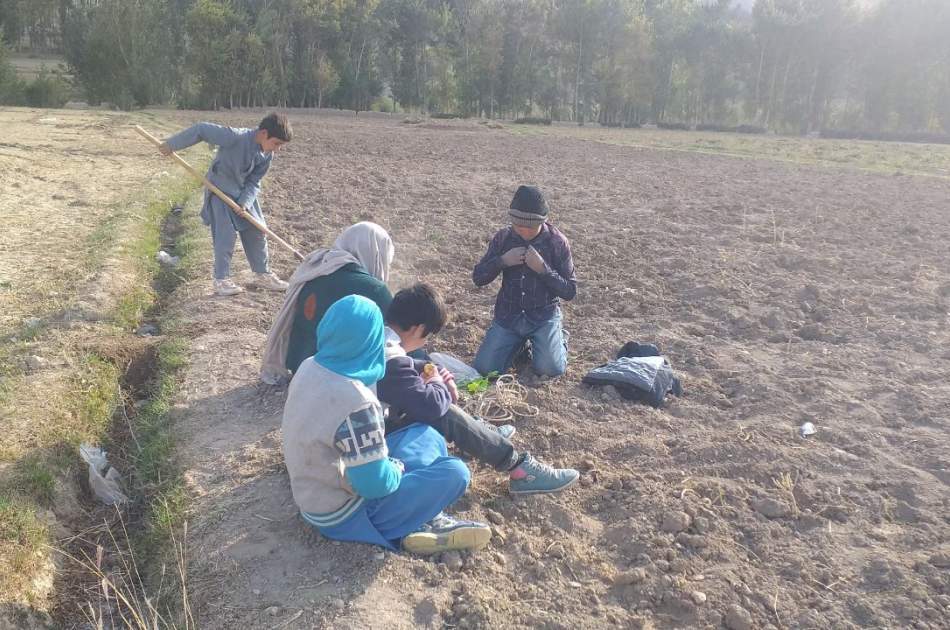 Increase in child labor in Bamyan Province; Economic poverty is the main factor