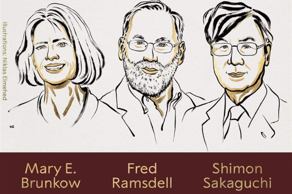 Nobel Prize in Medicine 2025 awarded to three scientists for discovery of the mechanism of environmental immune tolerance