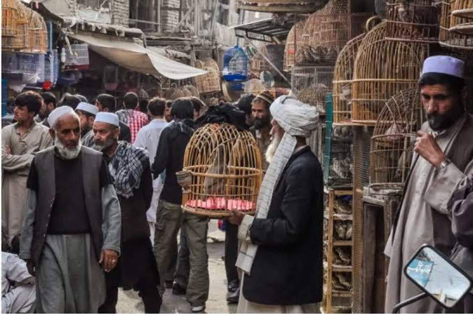 World Bank: Afghanistan’s economy shows signs of relative recovery