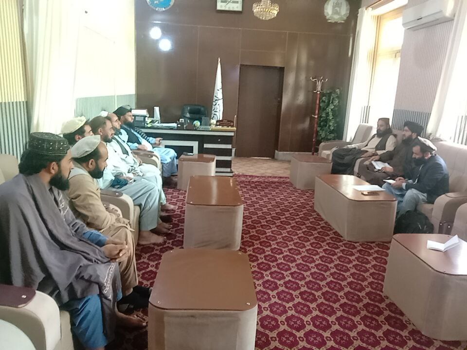 عملی شدن پروژه‌های غرس ده‌هزار اصله درخت چارمغز و سرسبزی جنگلات ننگرهار