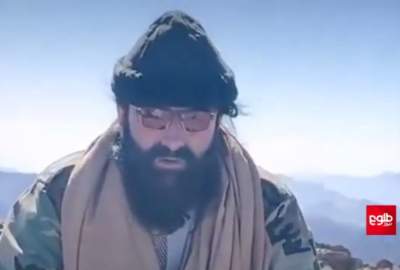 نور ولی محسود: من در مناطق قبایلی و زنده هستم!  