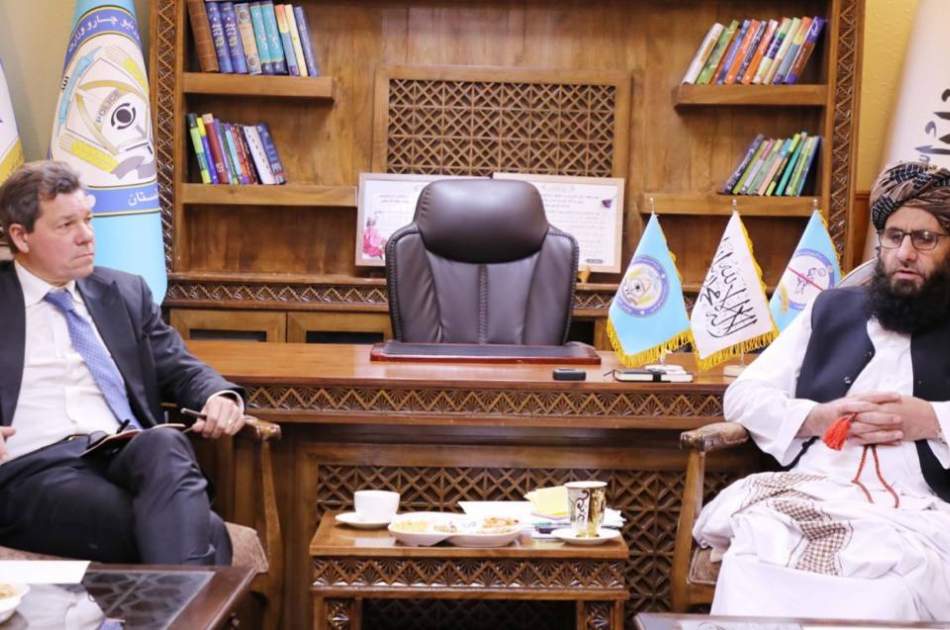 تأکید وزارت داخله بر همکاری‌های بین‌المللی در راستای فراهم‌سازی بدیل کشت موادمخدر برای دهاقین