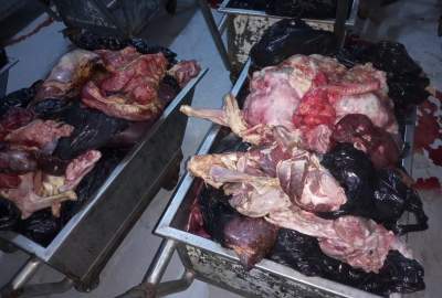 حریق بیش از دو تُن گوشت فاسد و آلوده در ولایت بلخ