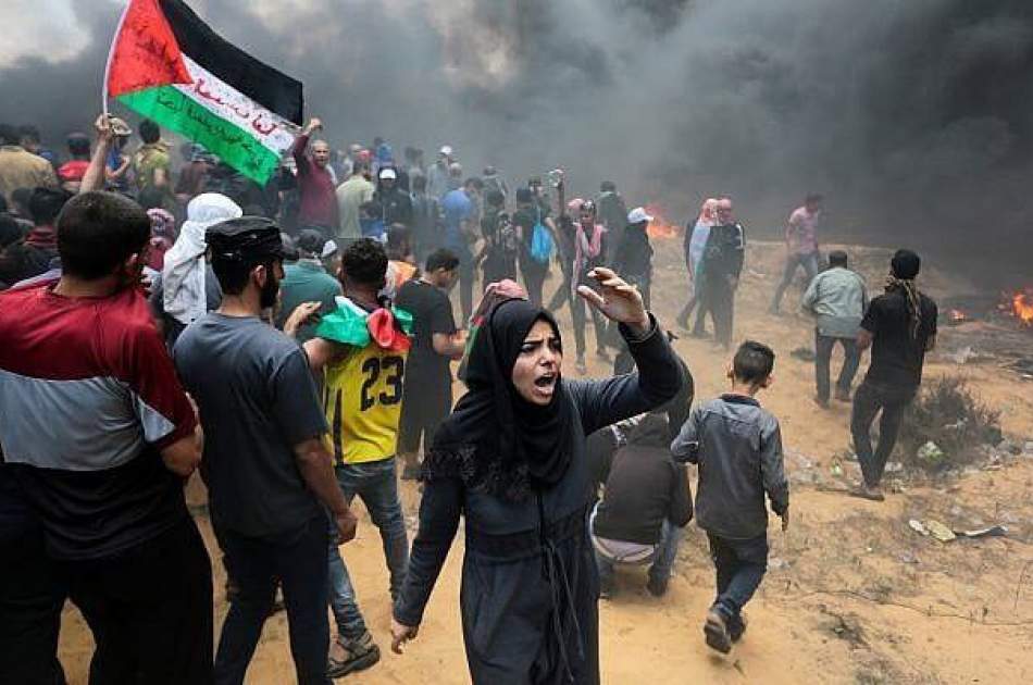 غالبية الفلسطينيين يعارضون نزع سلاح المقاومة ولا يعتقدون بتحقيق دولة مستقلة ضمن خطة ترامب للسلام